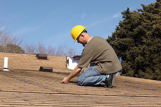 Best Roof Moss and Algae Removal  in Milpitas, CA